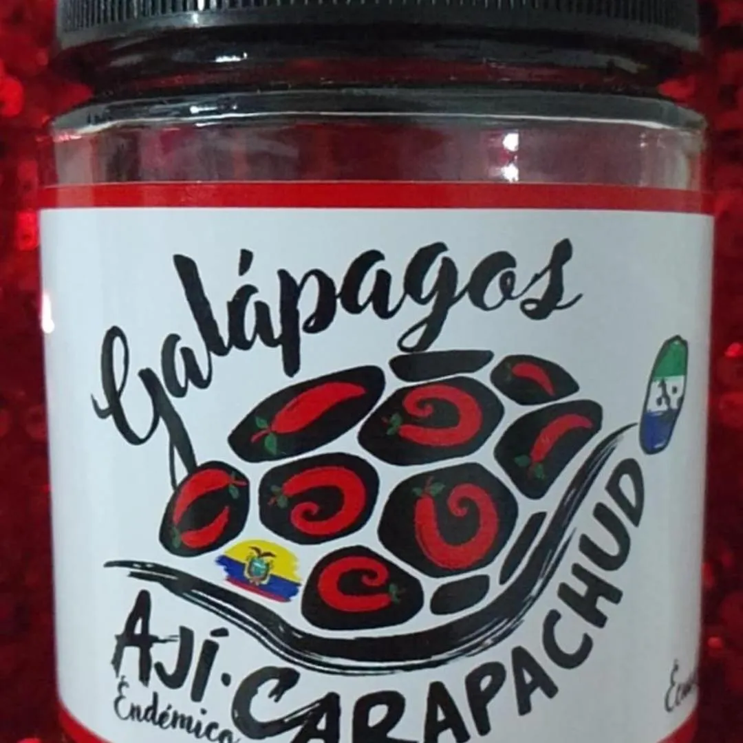 Appartamento Capsicum Galapagoense Puerto Ayora  Alloggio in famiglia Puerto Ayora (Galapagos Islands)